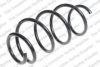 LESJ?FORS 4066829 Coil Spring